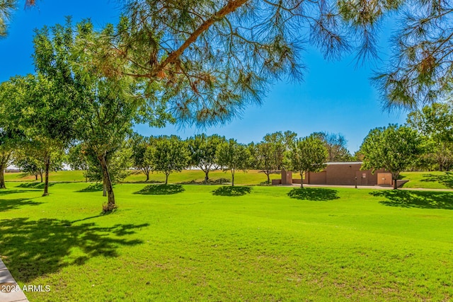 view of home's community featuring a yard