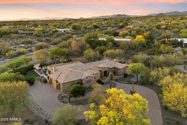 aerial view featuring a mountain view