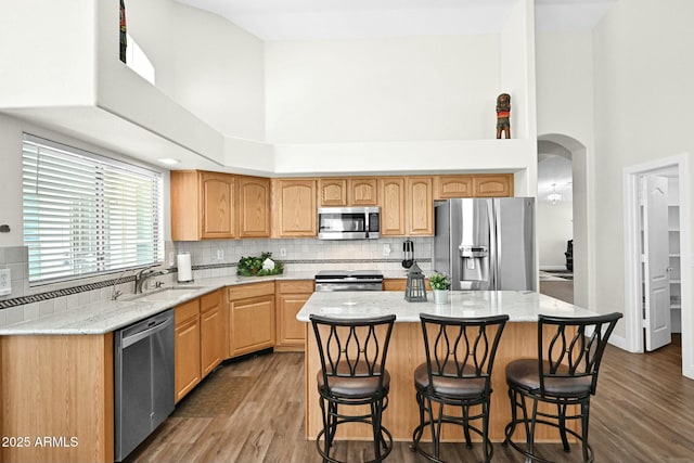 kitchen featuring wood finished floors, a high ceiling, arched walkways, a sink, and appliances with stainless steel finishes