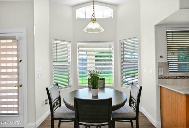 dining room featuring baseboards and dark wood-style floors