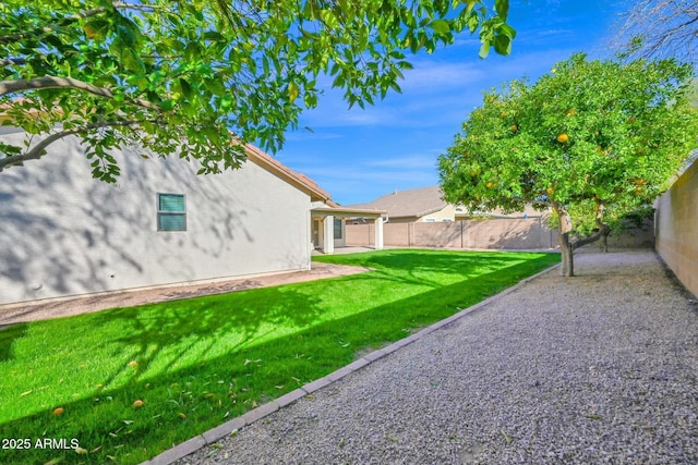 view of yard with a fenced backyard and a patio area