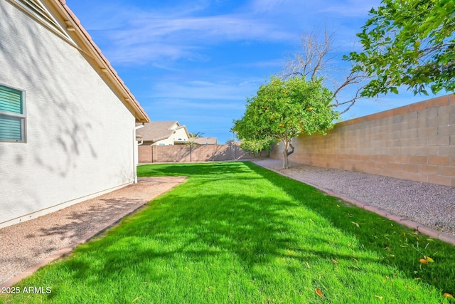 view of yard with a fenced backyard