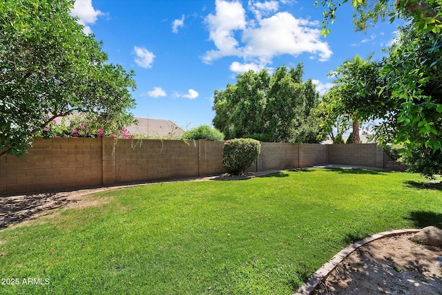 7925 E Osage Ave, Mesa, AZ 85212 - view of yard