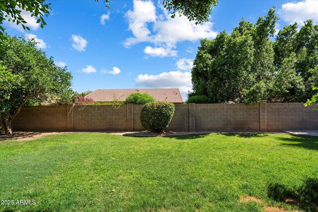 7925 E Osage Ave, Mesa, AZ 85212 - view of yard