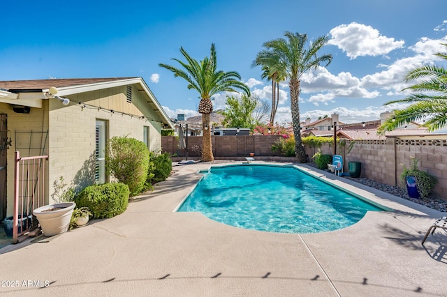 view of swimming pool featuring a patio area, a fenced backyard, and a fenced in pool