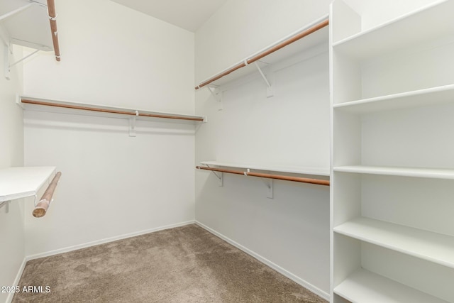 walk in closet featuring light carpet