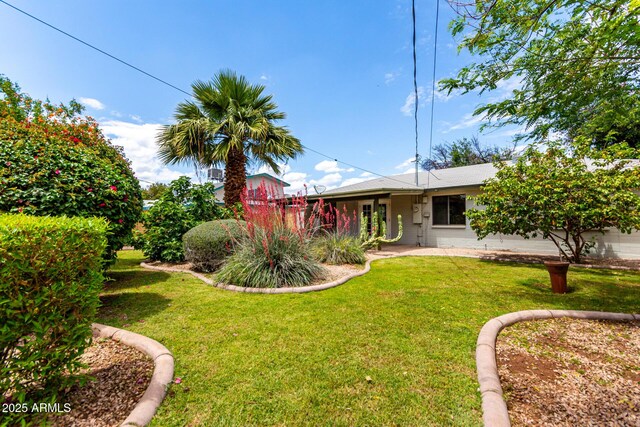 3031 E Avalon Dr, Phoenix, AZ 85016 - view of green lawn