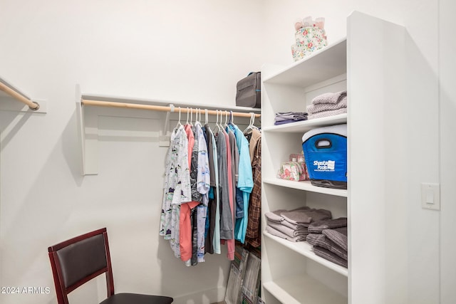 view of spacious closet