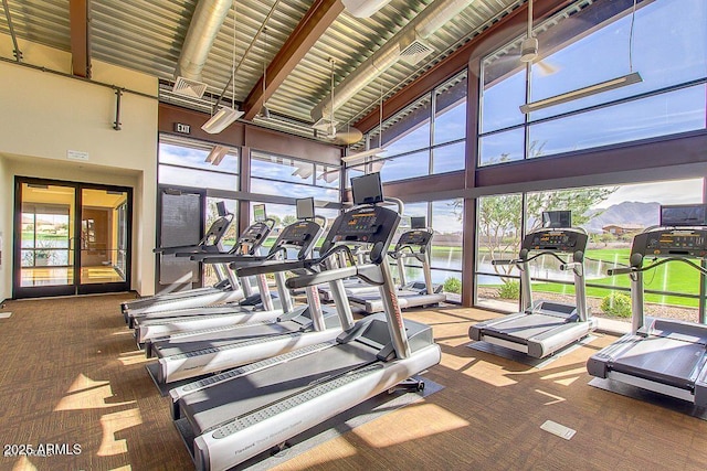 exercise room with a towering ceiling and carpet flooring