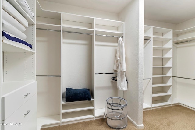 walk in closet with carpet flooring