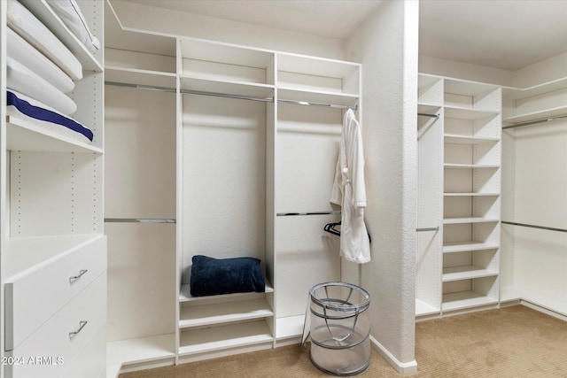 24218 N 85th St, Scottsdale, AZ 85255 - spacious closet featuring carpet flooring