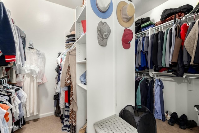 spacious closet with carpet floors