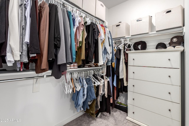 4562 S Park Grove St Unit 101, Gilbert, AZ 85297 - walk in closet with carpet flooring