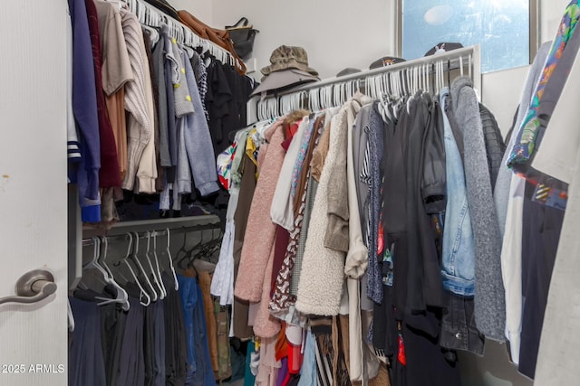 view of spacious closet