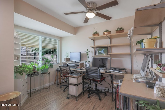 office space featuring ceiling fan and light hardwood / wood-style floors