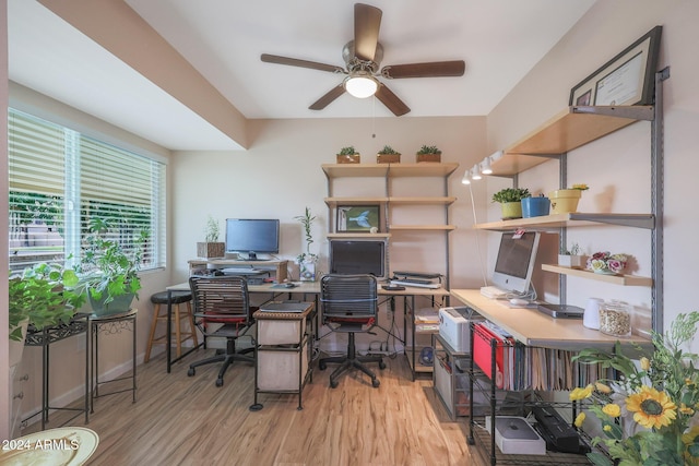 office space with light hardwood / wood-style floors and ceiling fan