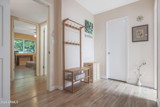 hallway featuring light hardwood / wood-style flooring