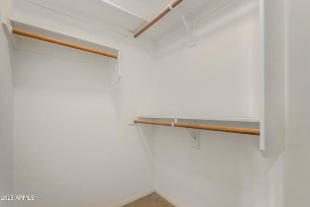 walk in closet with carpet