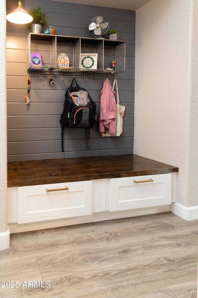 136 E Vera Ln, Tempe, AZ 85284 - mudroom with light wood-style flooring and wood walls
