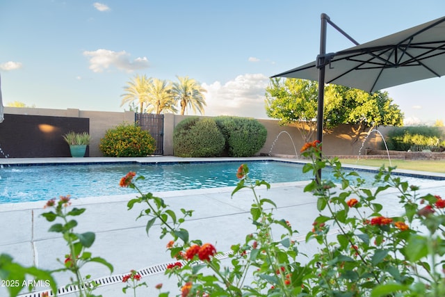 136 E Vera Ln, Tempe, AZ 85284 - view of pool