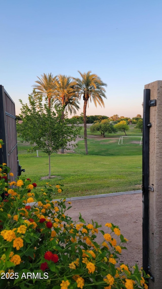 136 E Vera Ln, Tempe, AZ 85284 - view of grassy yard