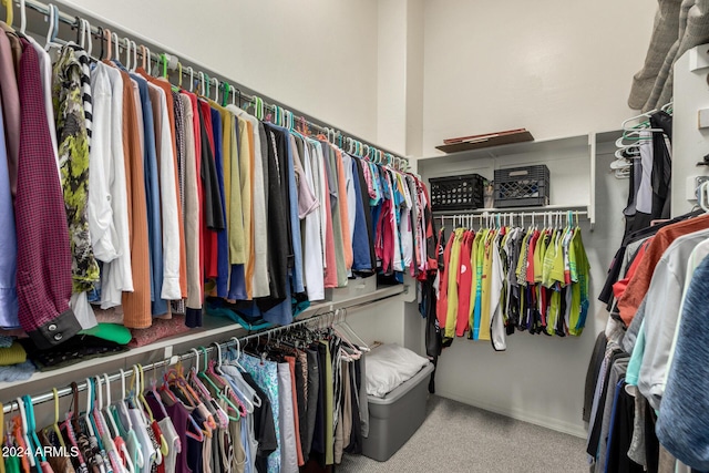 walk in closet featuring carpet floors