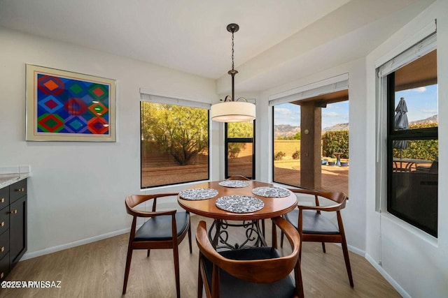 dining area featuring wood finished floors, a healthy amount of sunlight, and baseboards