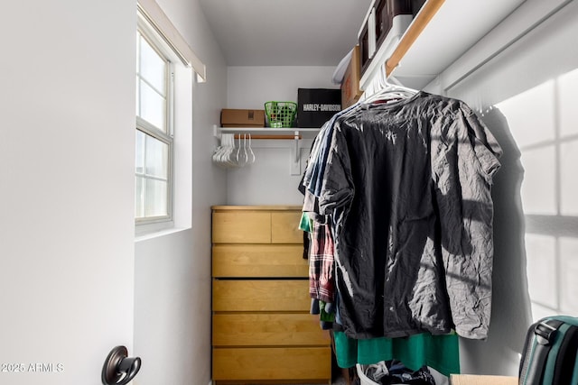 view of spacious closet