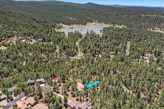 17620 Littlefield Pl, Munds Park, AZ 86017 - bird's eye view of a forest and a water and mountain view