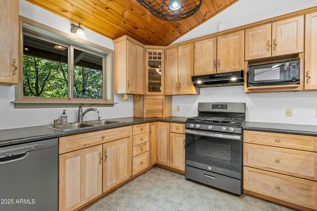 17620 Littlefield Pl, Munds Park, AZ 86017 - kitchen featuring stainless steel appliances, under cabinet range hood, lofted ceiling, wood ceiling, and dark countertops