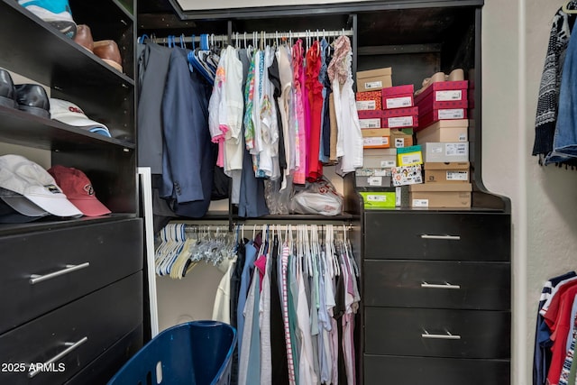 view of walk in closet