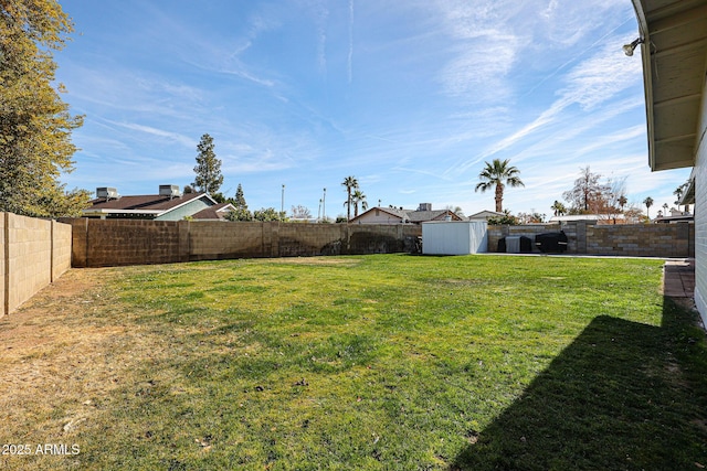 view of yard featuring a shed