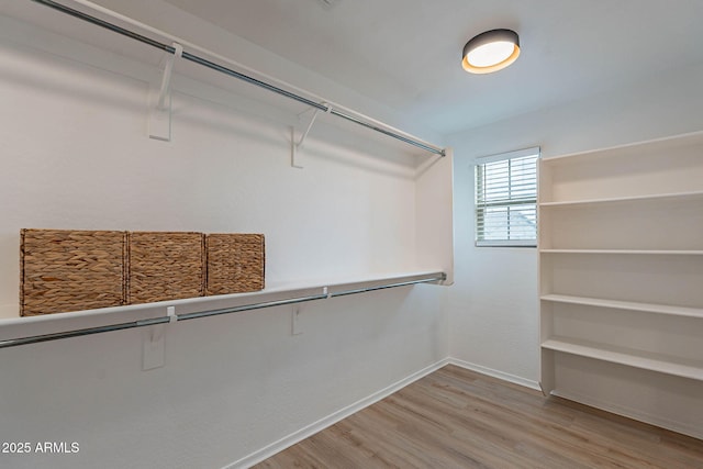 walk in closet featuring wood finished floors