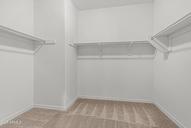 spacious closet with carpet