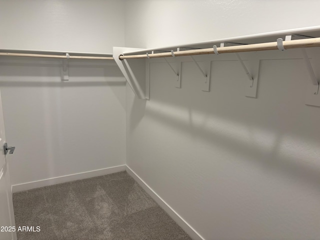 18001 W Lupine Ave, Goodyear, AZ 85338 - walk in closet featuring carpet flooring