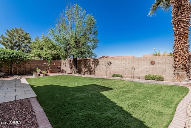 view of yard with a patio and a fenced backyard
