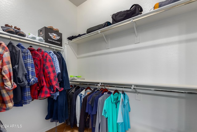 view of spacious closet