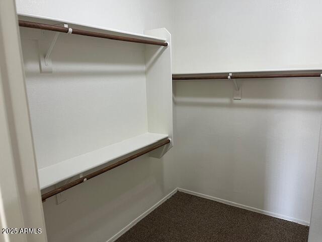 spacious closet with carpet