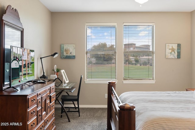 bedroom featuring baseboards, multiple windows, and carpet