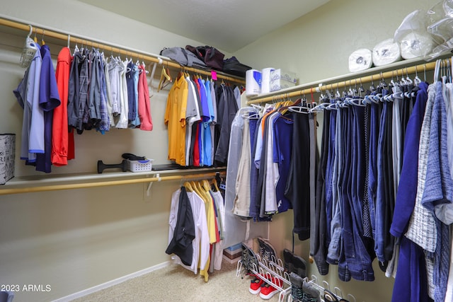 walk in closet featuring carpet