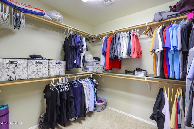 spacious closet with carpet