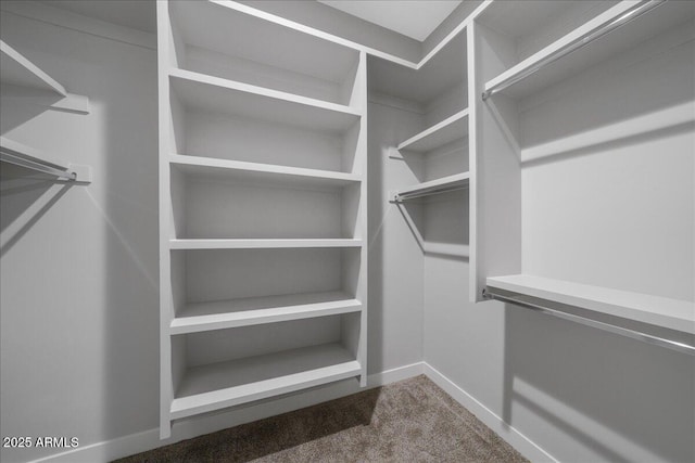 spacious closet featuring carpet flooring