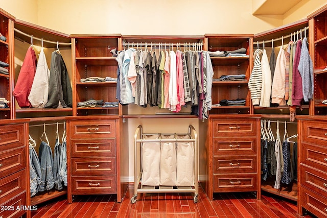 spacious closet featuring hardwood / wood-style flooring