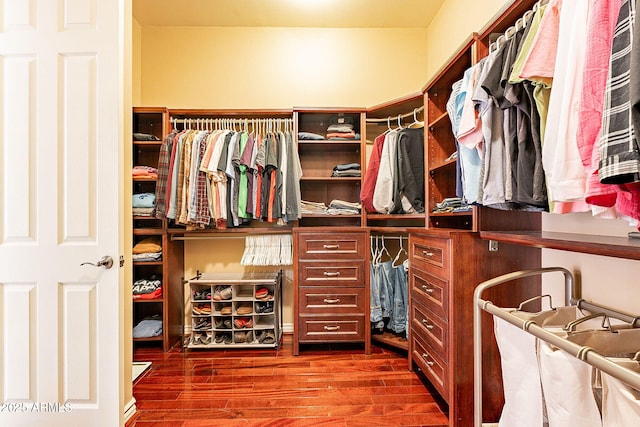 spacious closet with dark hardwood / wood-style flooring