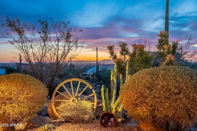 view of yard at dusk