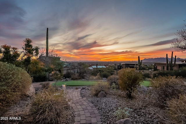 view of nature at dusk