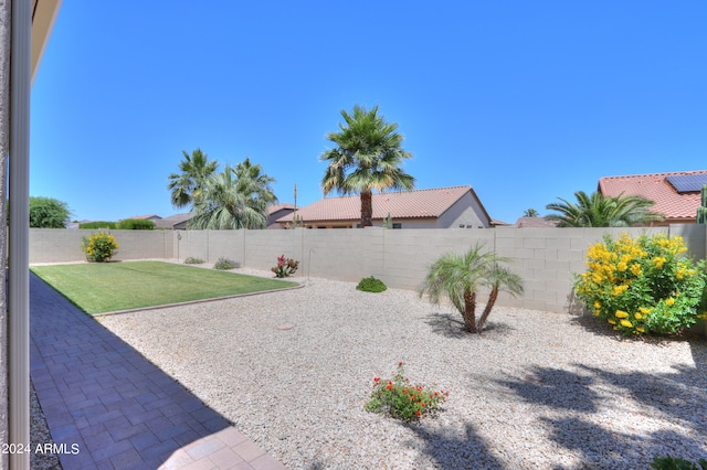 view of yard with a patio area