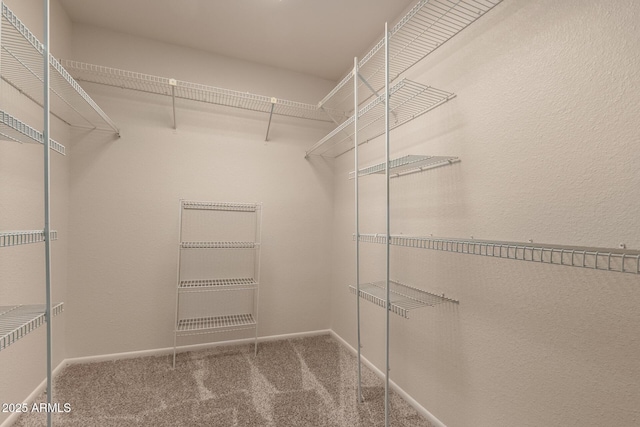 4313 N 29th Way, Phoenix, AZ 85016 - walk in closet with carpet flooring