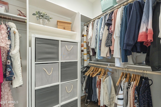 view of spacious closet