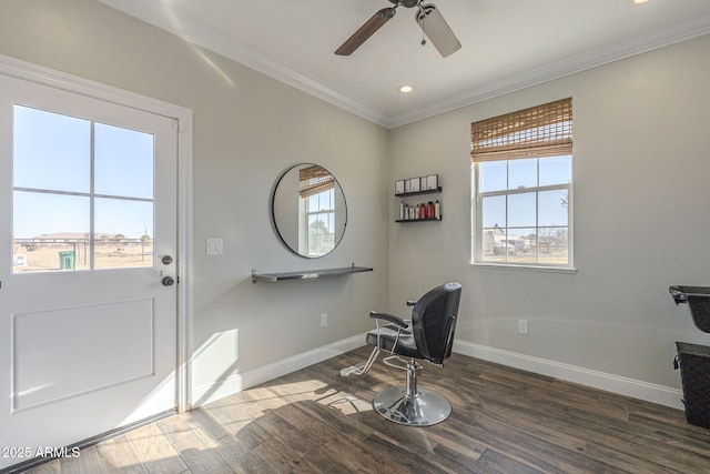 interior space featuring a healthy amount of sunlight, ceiling fan, ornamental molding, and dark hardwood / wood-style floors